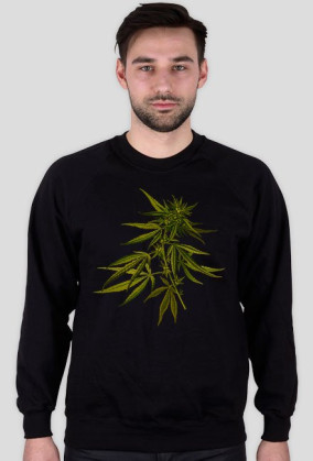 Bluza Hemp
