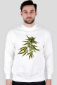 Bluza Hemp