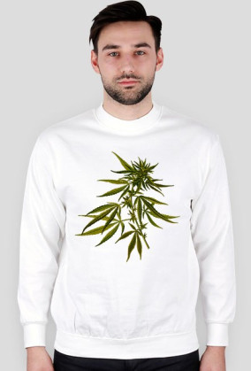 Bluza Hemp