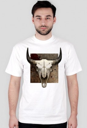 TNWO04 BUFFALO SKULL