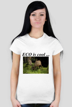 ECO is cool ...
