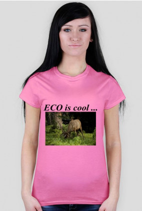 ECO is cool ...
