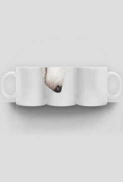 Pies kubek (Husky)