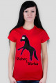 Vicher