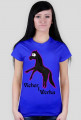Vicher
