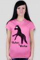 Vicher
