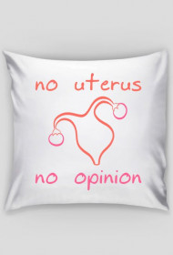 No Uterus No Opinion