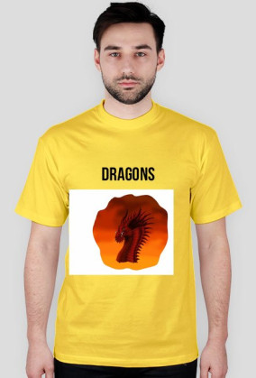 dragons #1