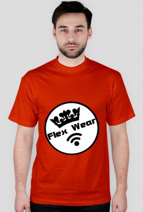 Koszulka męska Flex Wear | 6 zł DROŻEJ! 20.02 11 zł TANIEJ!