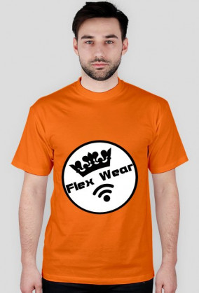 Koszulka męska Flex Wear | 6 zł DROŻEJ! 20.02 11 zł TANIEJ!