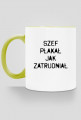 Szef płakał jak zatrudniał