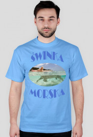 t-shirt świnka morska męski niebieski