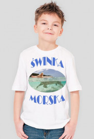 t-shirt świnka morska dziecięcy biały