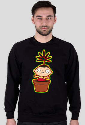 Stewie Griffin (bluza)