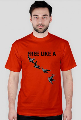 FREE LIKE A BIRDS