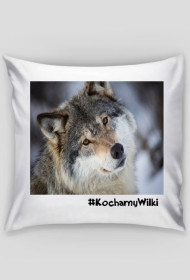 PODUSZKA WILK KOCHAMY WILKI
