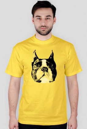 koszulka "boston terrier"