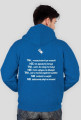 Bluza świetlika 2