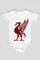 Śpiochy Liverpool