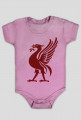 Śpiochy Liverpool
