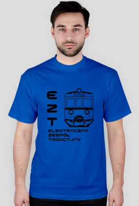 Elektryczny Zespół Trakcyjny