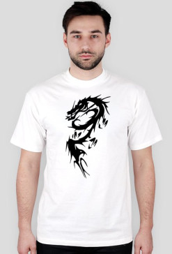 Dragons2