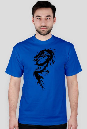 Dragons2