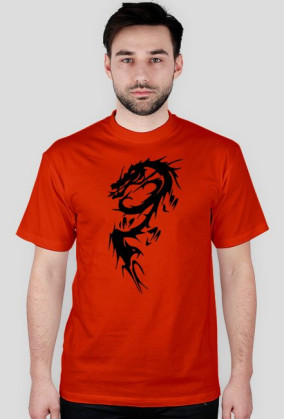 Dragons2