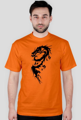 Dragons2