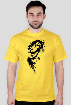 Dragons2