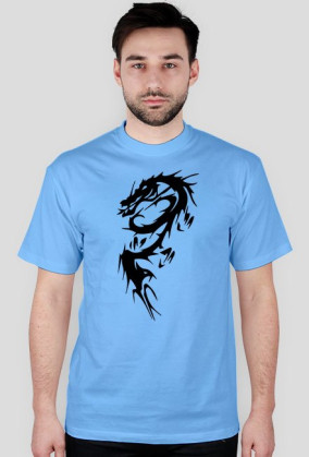 Dragons2