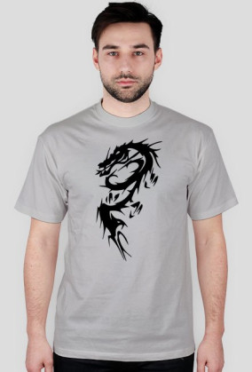 Dragons2