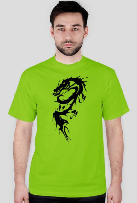 Dragons2