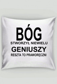 Poszewka na jasia Bóg stworzył...