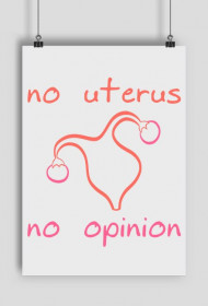No Uterus No Opinion