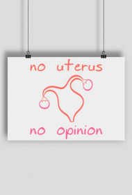 No Uterus No Opinion