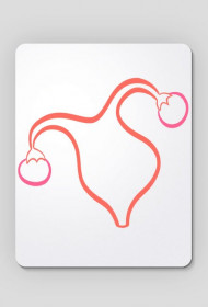 Uterus