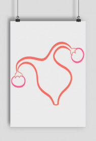 Uterus