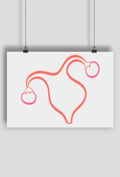 Uterus