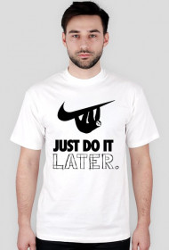 Just Do It, LATER.