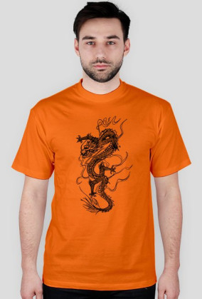 Dragons3