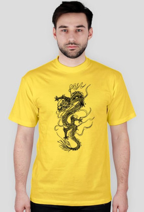 Dragons3