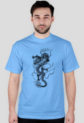 Dragons3
