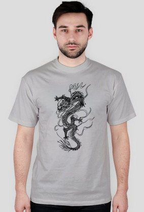 Dragons3