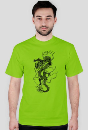 Dragons3