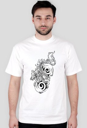 Dragons4