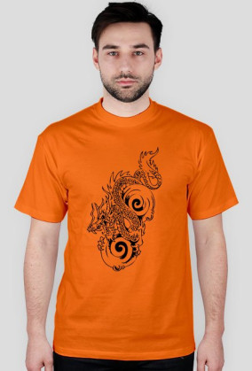 Dragons4