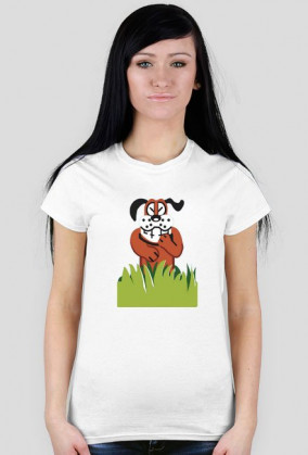 Duck Hunt pegasus