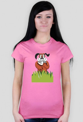 Duck Hunt pegasus