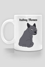 buldog Romeo